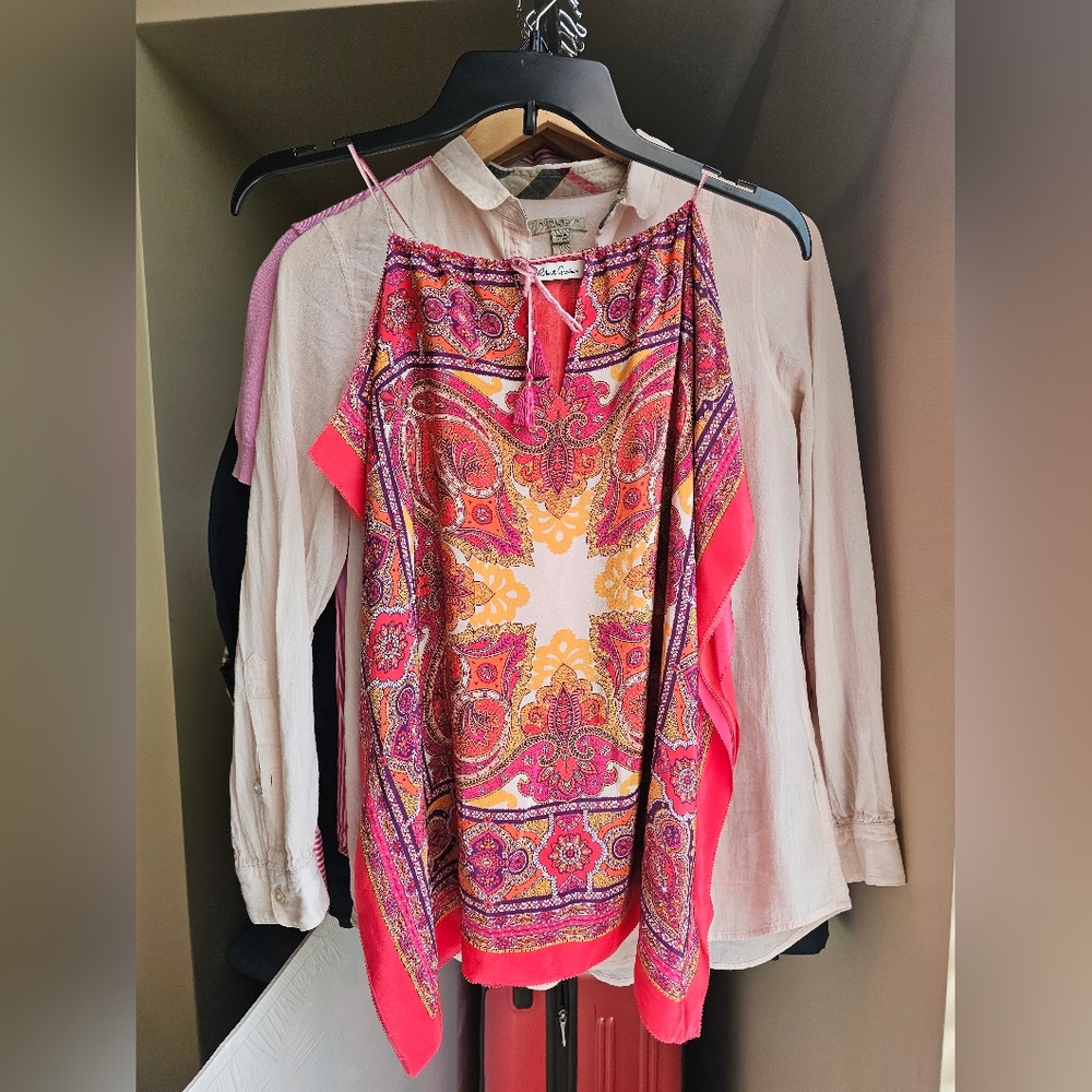 Pink Paisley Women's Silk Top Robert Graham S